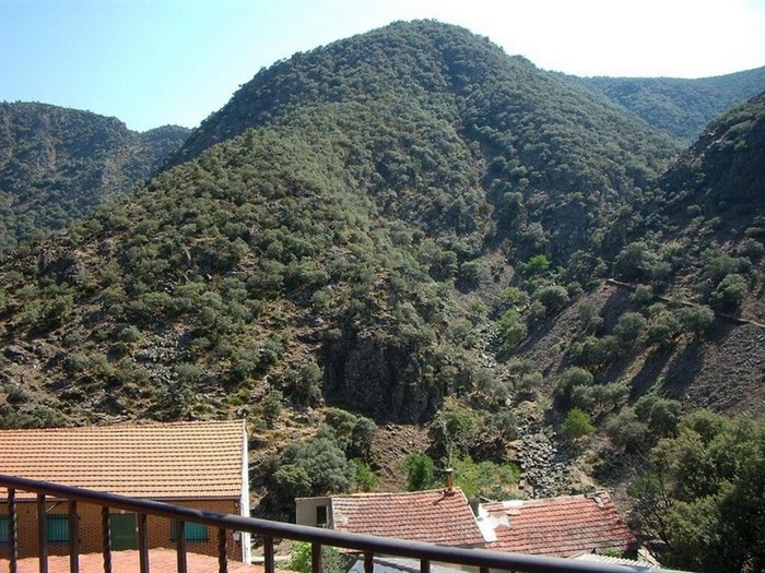 casitasbodegon32
