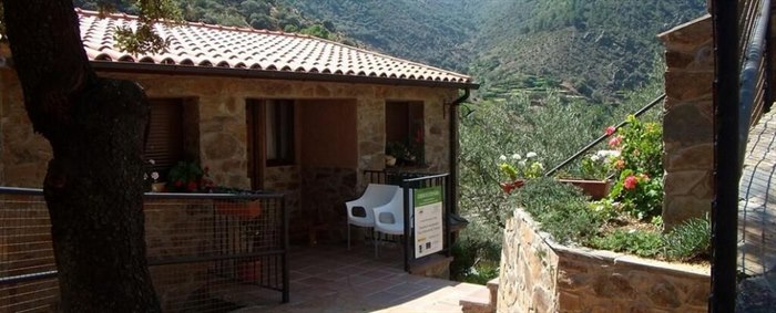 casitasbodegon34